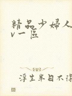 精品少妇人妻av一区