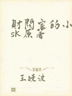 财阀家的小儿子sk原著