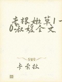 老根嫩草1一40淑媛全文封面