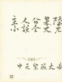 主人公是陆鸣的小说全文免费阅读