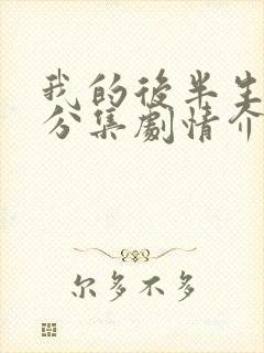 我的后半生剧情分集剧情介绍