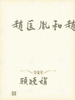 赵匡胤和赵匡义