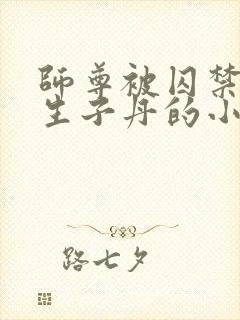 师尊被囚禁后喂生子丹的小说封面