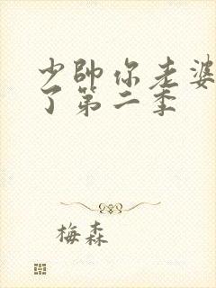 少帅你老婆又跑了第二季