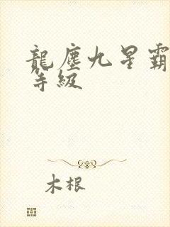 龙尘九星霸体诀等级