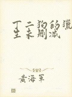 丁二狗的猎艳人生未删减