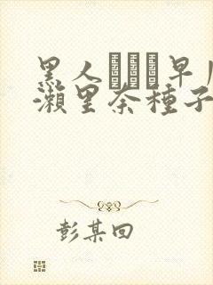 黑人レイプ早川濑里奈种子