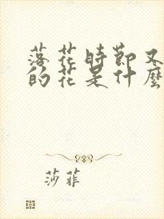 落花时节又逢君的花是什么花封面