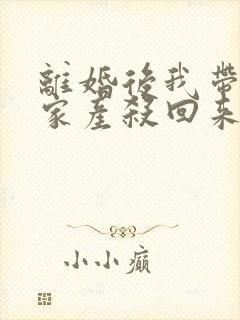 离婚后我带千亿家产杀回来了小说