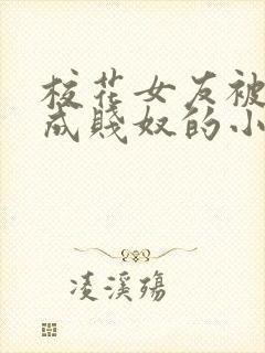 校花女友被调教成贱奴的小说