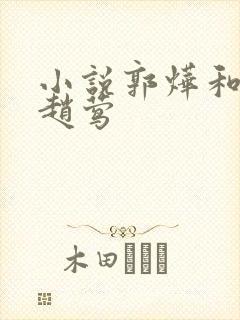 小说郭烨和母亲赵莺