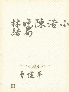 林晚陈浩小说大结局