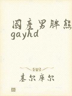 国产男胖熊同性gayhd