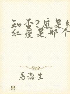 知否?应是绿肥红瘦是哪个朝代封面