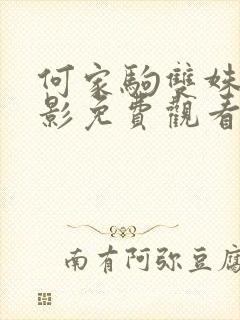 何家驹双姝艳电影免费观看国语高清