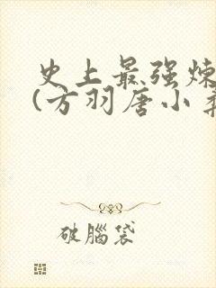 史上最强炼气期(方羽唐小柔)