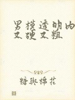 男模透明内裤里又硬又粗