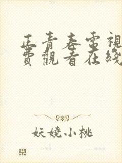 正青春电视剧免费观看在线封面