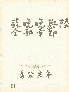 苏晚晚与陆行简全部章节封面