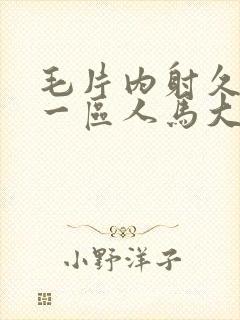 毛片内射久久久一区人马大战