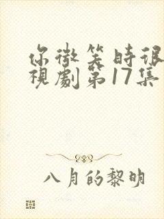 你微笑时很美电视剧第17集