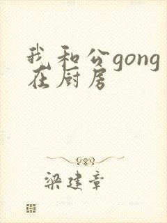 我和公gong在厨房