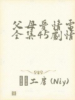 父母爱情电视剧全集45剧情