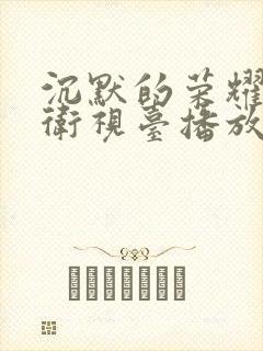 沉默的荣耀哪个卫视台播放