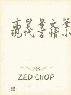 高质量文笔好的现代言情小说