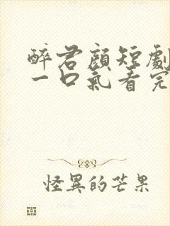 醉君颜短剧合集一口气看完