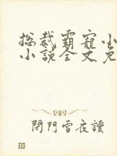 总裁霸宠小甜妻小说全文免费阅读封面