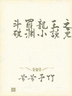 斗罗龙王之九龙破渊小说免费阅读封面