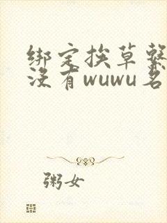 绑定挨草系统后没有wuwu名字