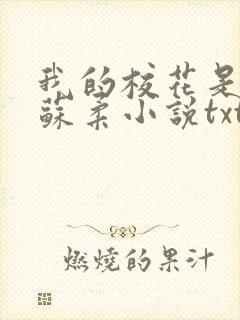 我的校花是福姬苏柔小说txt