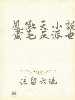 凤傲天小说里的黄毛反派也想幸福免费封面