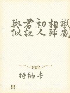 与君初相识·恰似故人归剧情