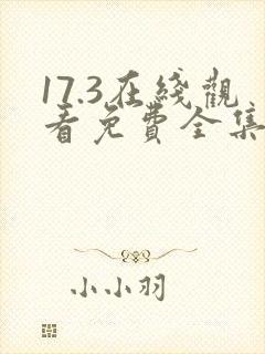 17.3在线观看免费全集电视剧