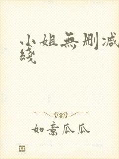 小姐无删减版在线