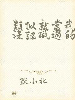 类似就当我们从没认识过的小说