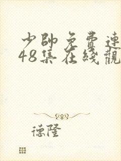 少帅免费连续剧48集在线观看封面