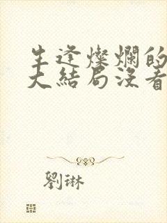 生逢灿烂的日子大结局没看懂