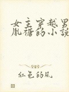 女主穿越男主是胤禟的小说封面