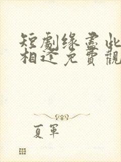 短剧缘尽此生不相逢免费观看