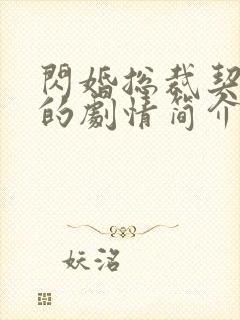 闪婚总裁契约妻的剧情简介是什么?封面