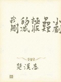 我的极品小姨未删减版短剧