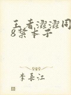 王者涩涩同人18禁本子