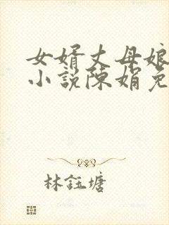 女婿丈母娘言情小说陈娟免费阅读