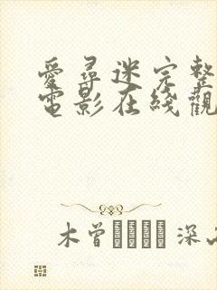 爱寻迷完整版+电影在线观看