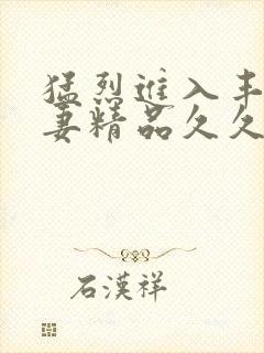 猛烈进入丰满人妻精品久久久