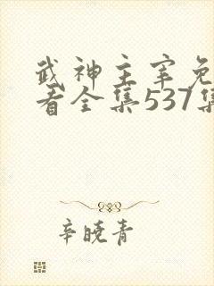 武神主宰免费观看全集537集封面